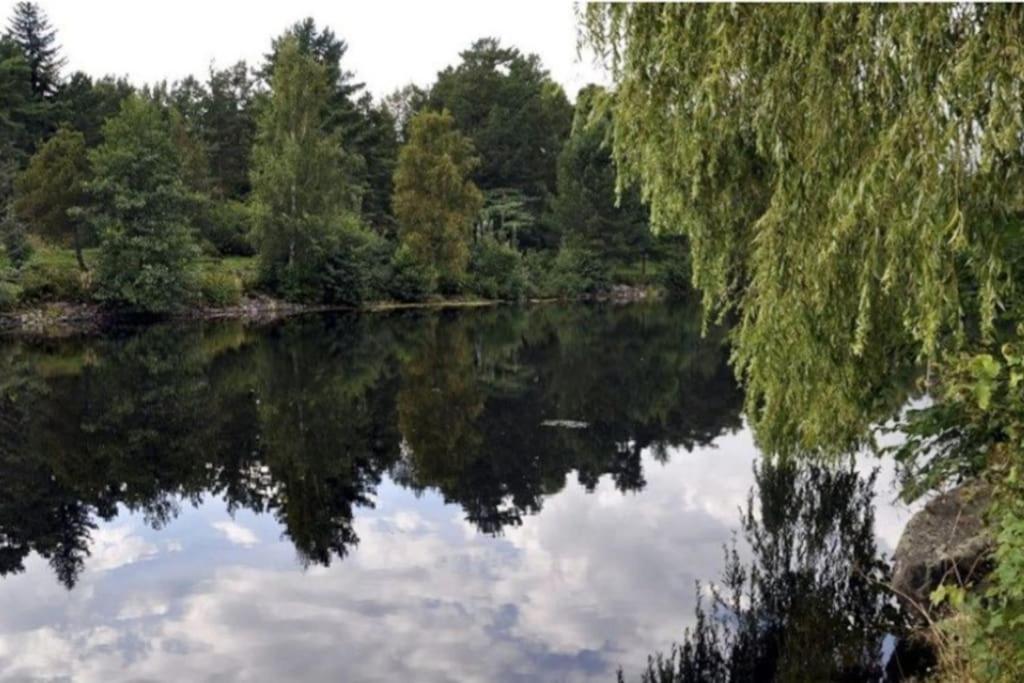 Sjarmerende Leilighet I Hjerte Av Tonsberg By Zewnętrze zdjęcie