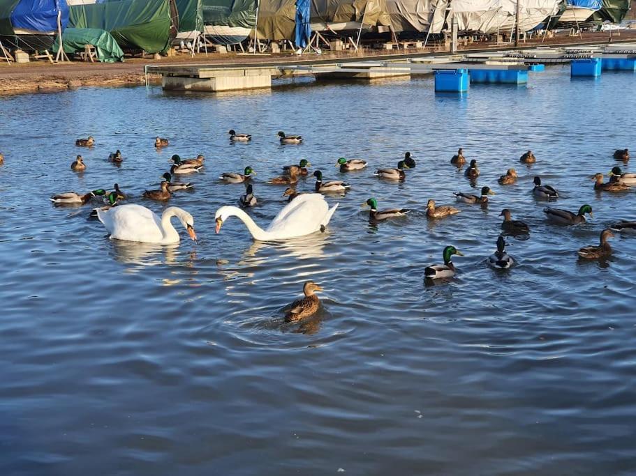 Sjarmerende Leilighet I Hjerte Av Tonsberg By Zewnętrze zdjęcie