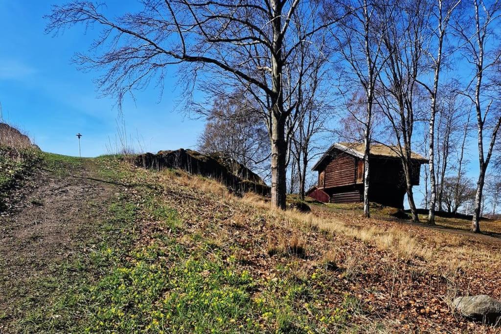 Sjarmerende Leilighet I Hjerte Av Tonsberg By Zewnętrze zdjęcie