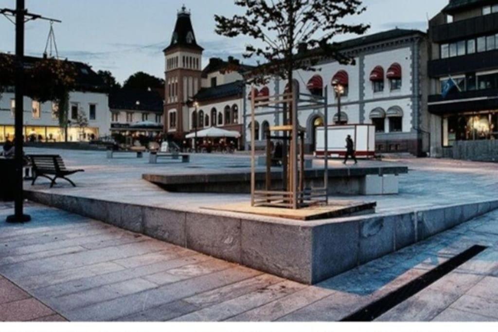 Sjarmerende Leilighet I Hjerte Av Tonsberg By Zewnętrze zdjęcie